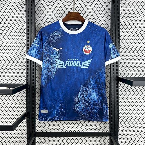 FC Hansa Rostock 2025-26 Baltic Sea Special Edition Football Jersey
