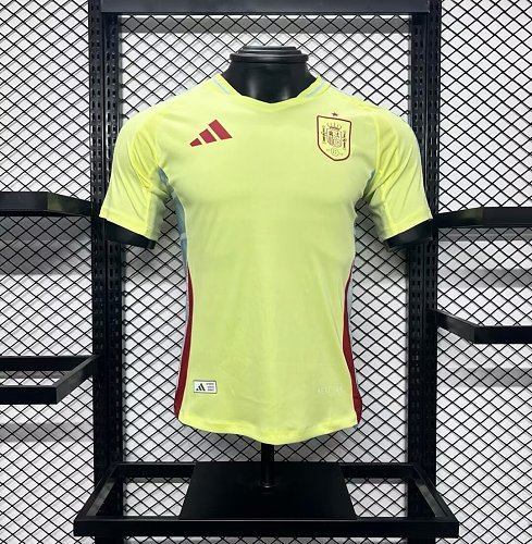 Germany 2024-25 Euro Away Jersey Player Version