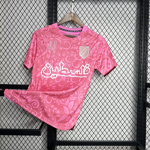 CD Palestino 2023-24 Pink training pre-match training Jersey