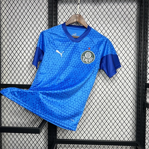 Palmeiras 2024-25 Blue Goalkeeper Jersey