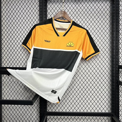 Criciuma 2024-25 Home Jersey